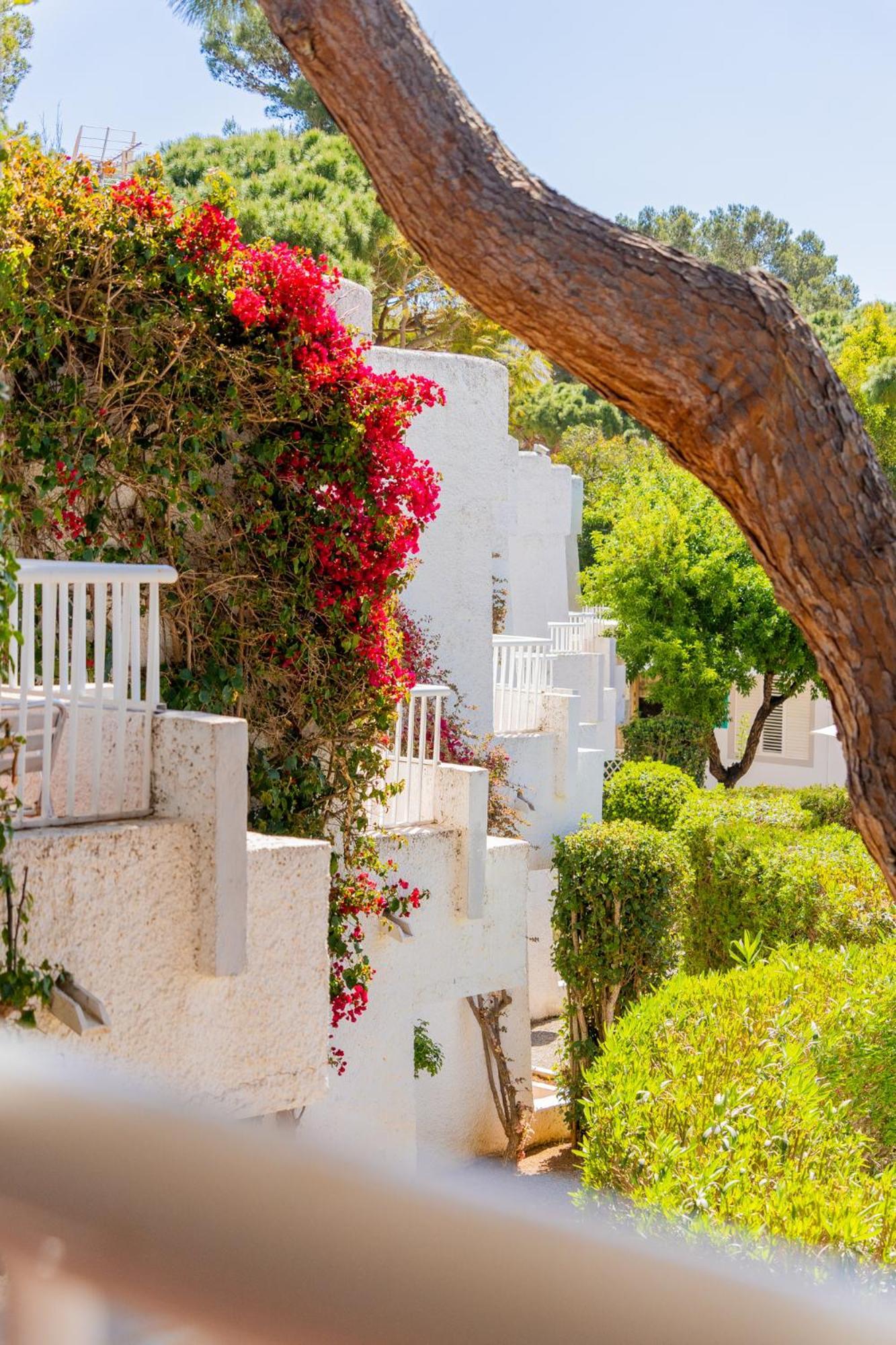 Atlas Apartments Ibiza Santa Eularia des Riu Exteriér fotografie